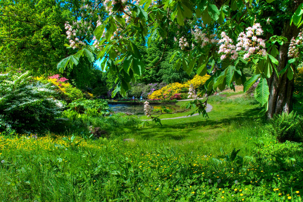 Arboretum w Lądku Zdroju – Oaza Roślinnego Piękna i Edukacji